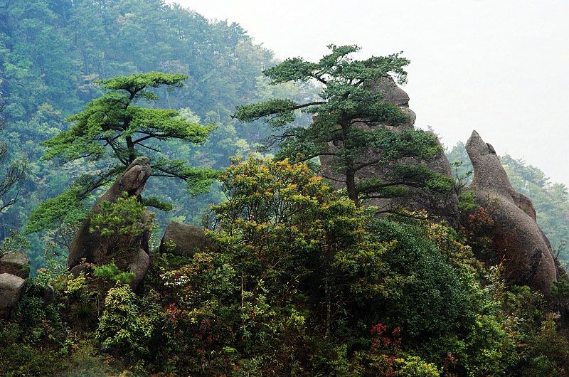 東嶽山(安徽省黟縣東嶽山) 東嶽山(安徽省黟縣東嶽山)