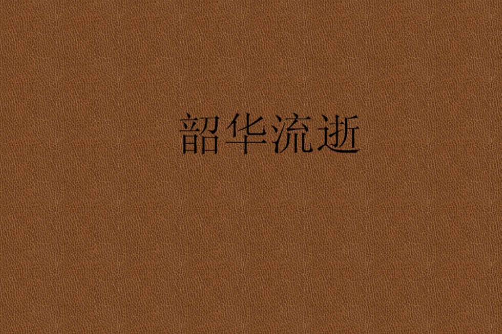 韶華流逝