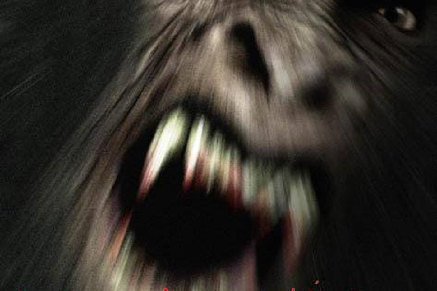Sasquatch Hunters Sasquatch Hunters