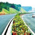 武麻高速公路 武麻高速公路