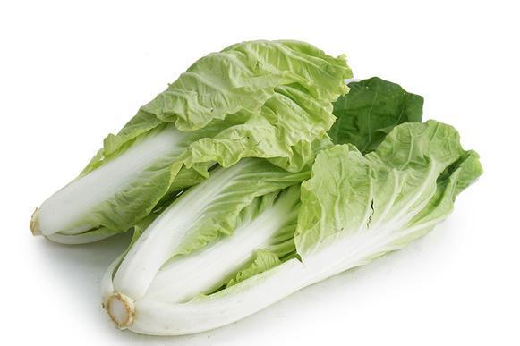 旋風快菜 旋風快菜
