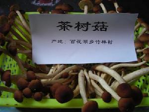 百花湖鄉特產茶樹菇
