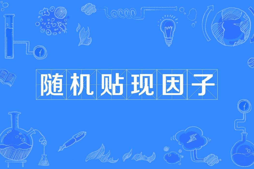 隨機貼現因子 隨機貼現因子