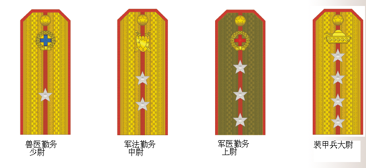 朝鮮人民軍尉官肩章