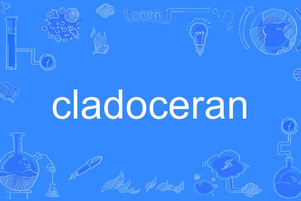 cladoceran cladoceran