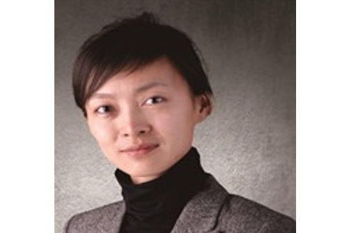羅婷(神州信息獨立董事) 羅婷(神州信息獨立董事)