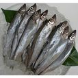 柳葉魚 柳葉魚