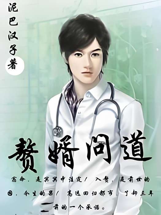 贅婿問道 贅婿問道