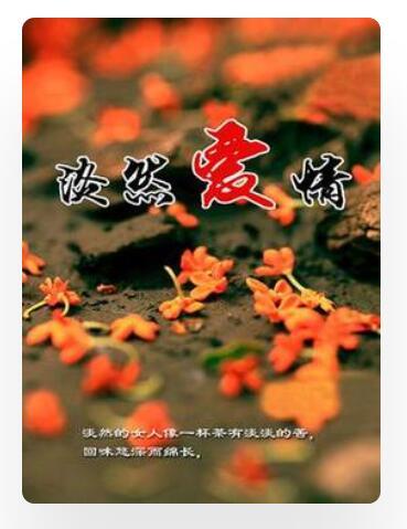 淡然愛情 淡然愛情