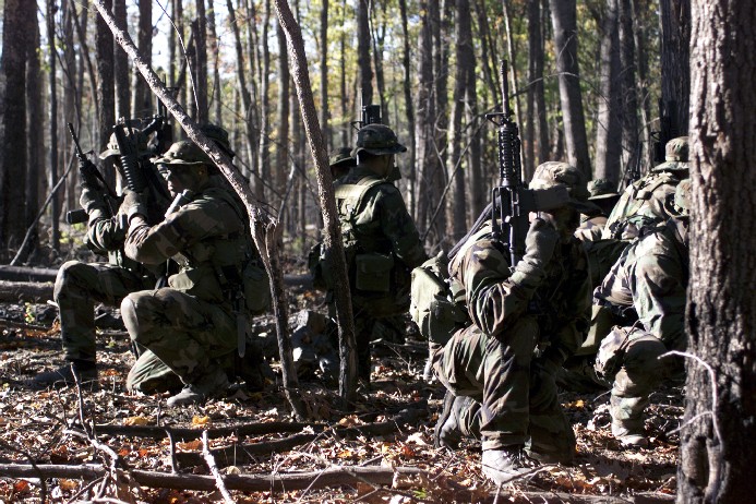 三棲特戰隊於樹林中進行任務