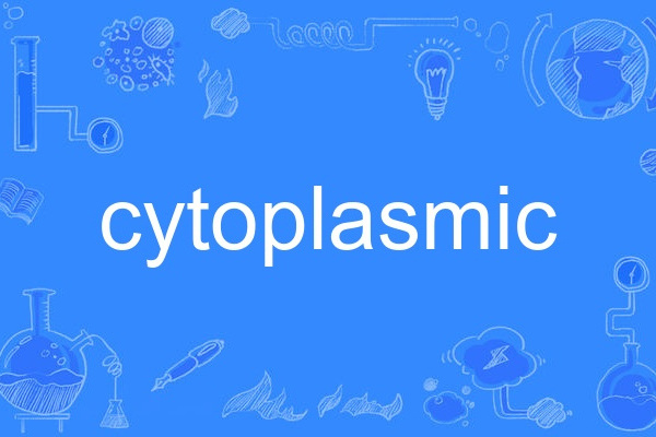 cytoplasmic cytoplasmic