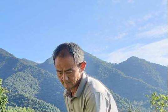 李大清(江西省九江市武寧縣羅坪鎮洞坪村人)