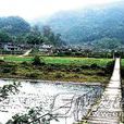 金峒土司 金峒土司