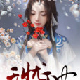 無憂王妃 無憂王妃