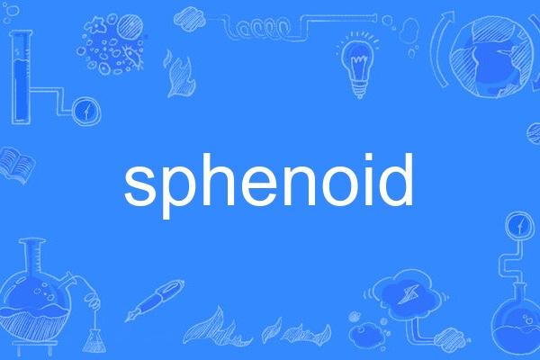 sphenoid sphenoid