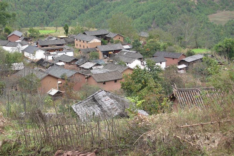 權寨村 權寨村