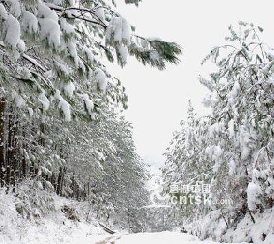 三溪口冬季雪景