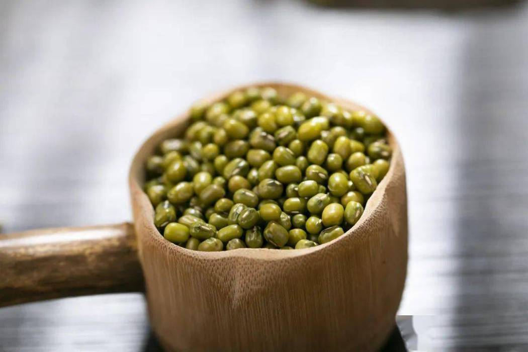 小綠豆 小綠豆