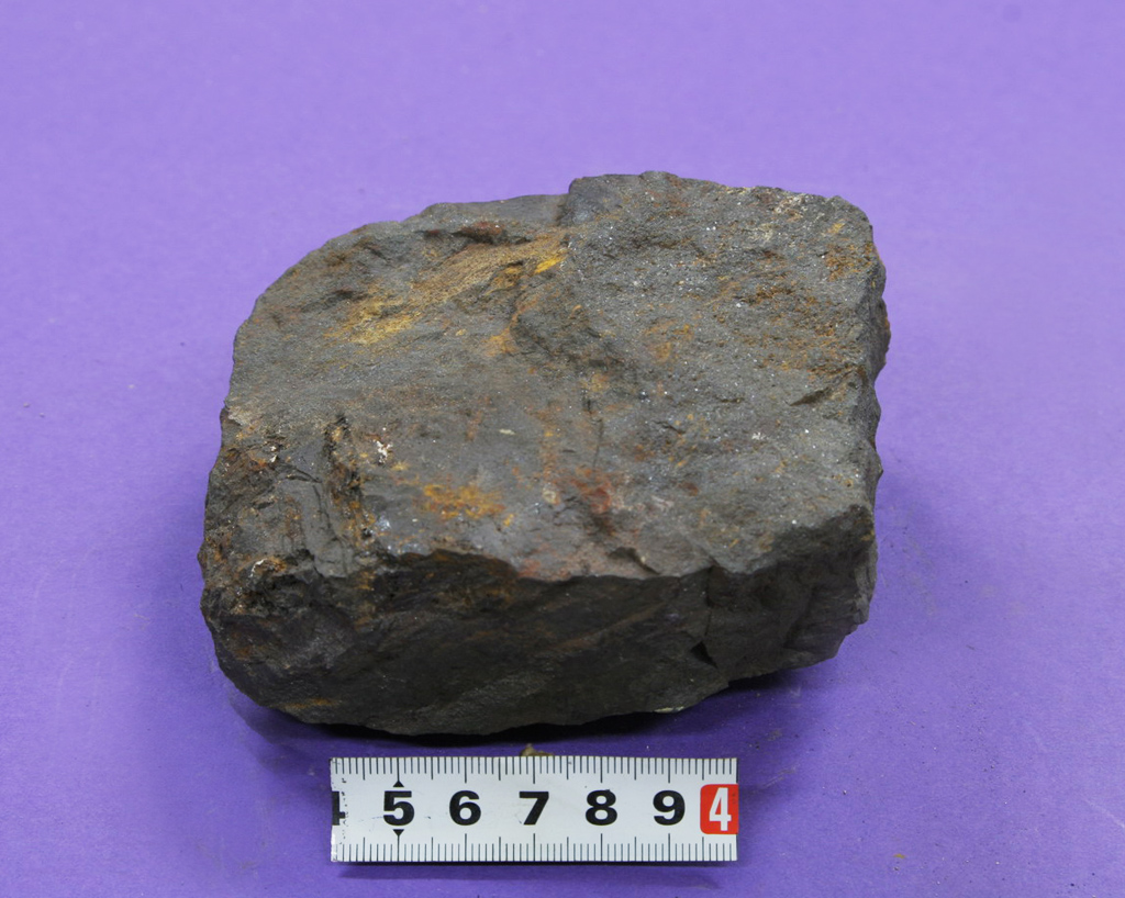 中國地質博物館煤藏品圖片
