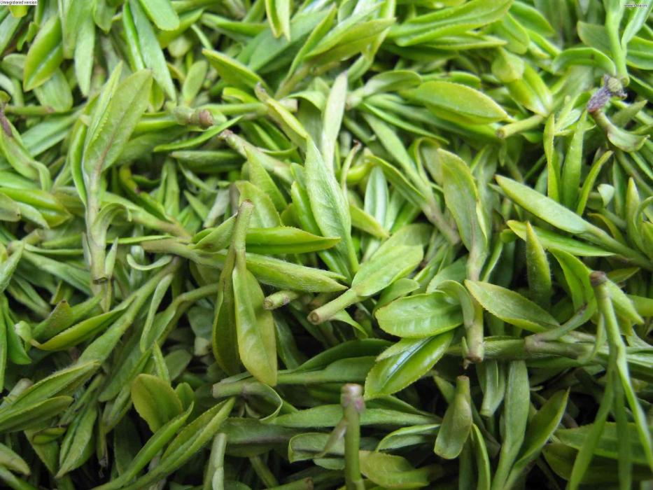 海馬宮茶