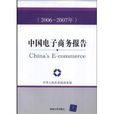 中國電子商務報告(2006-2007)