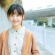 懵懂的季節 懵懂的季節