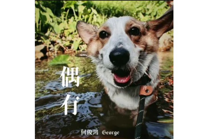 偶有 偶有