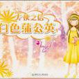 白色蒲公英 白色蒲公英