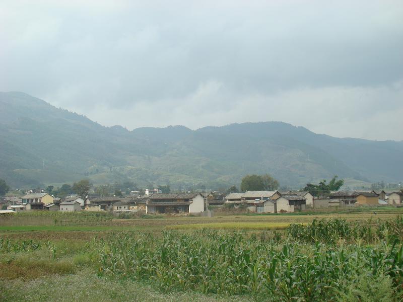 張揚村自然村