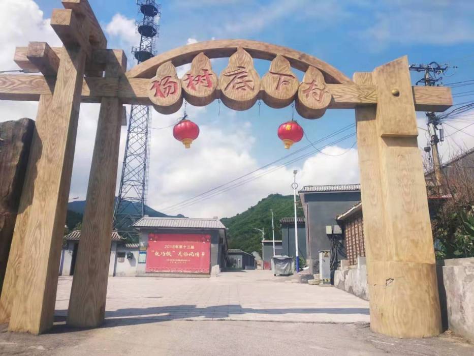 楊樹底下村 楊樹底下村