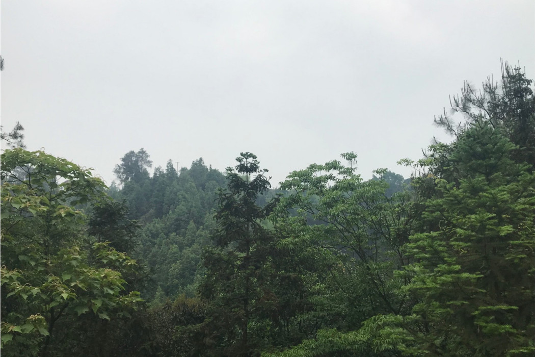 雌獅嶺 雌獅嶺