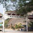 康厝畲族鄉(康厝鄉) 康厝畲族鄉(康厝鄉)