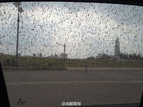 泥雨 泥雨