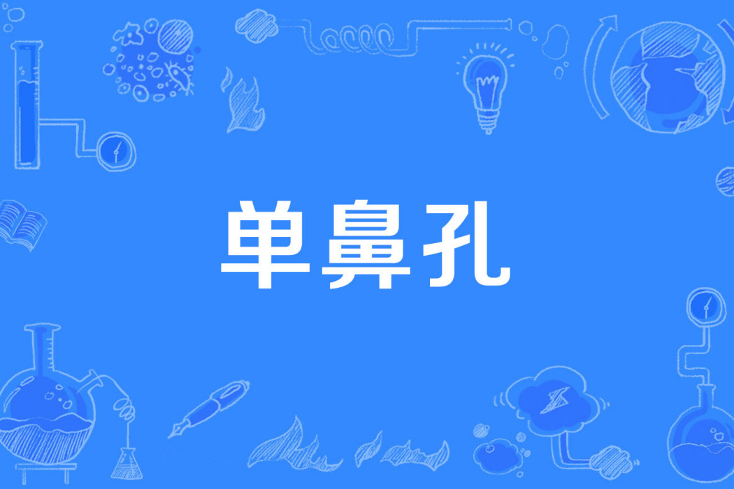單鼻孔 單鼻孔