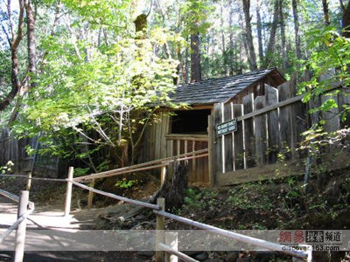 神奇小屋 神奇小屋