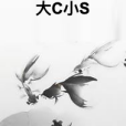 大C小S 大C小S