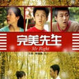 完美先生(李海濤執導的愛情電影) 完美先生(李海濤執導的愛情電影)