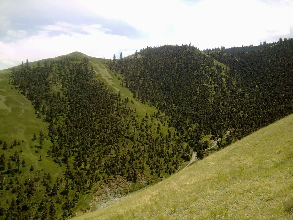 長嶺山(甘肅古浪縣的山) 長嶺山(甘肅古浪縣的山)