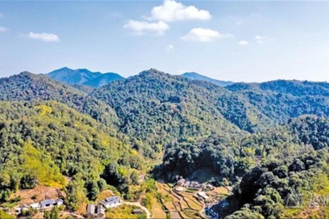 石角村(廣東省梅州市平遠縣長田鎮下轄村)