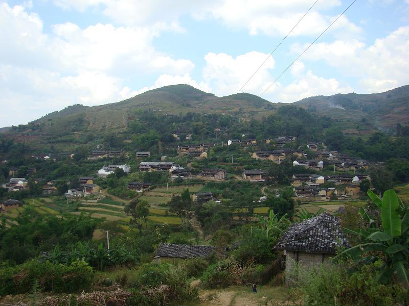 莽王村 莽王村