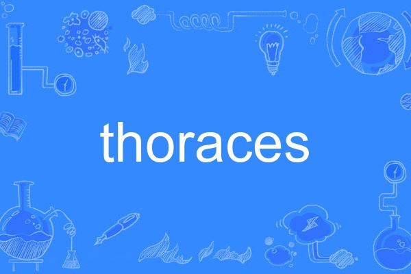 thoraces thoraces