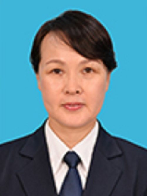何倩(國家稅務總局青島市稅務局黨委委員、總經濟師) 何倩(國家稅務總局青島市稅務局黨委委員、總經濟師)