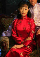 傾城之戀(2009年陳數、黃覺主演內地電視劇)