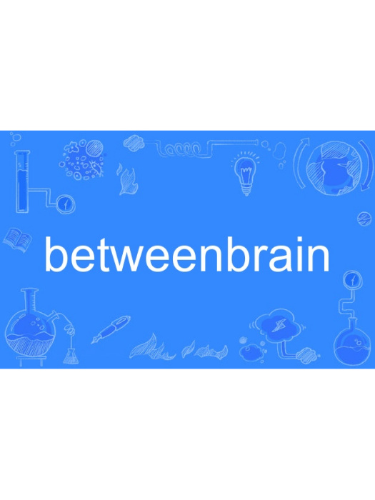 betweenbrain betweenbrain