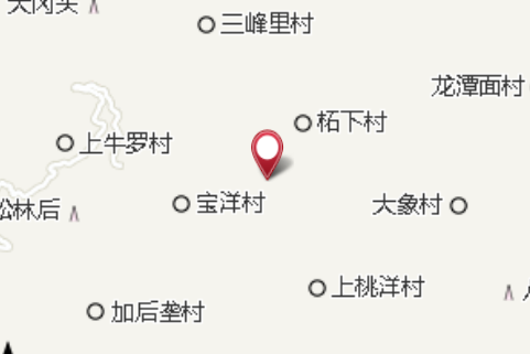 百丈柘