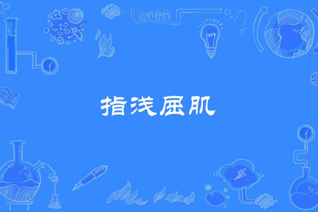 指淺屈肌 指淺屈肌