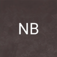 NB(網遊小說：《NB》)