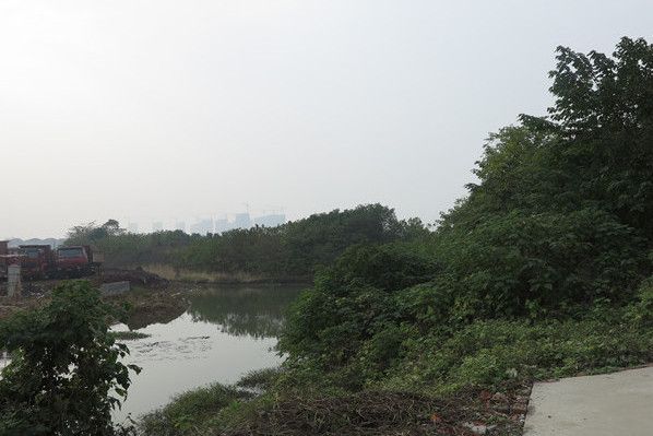 淨行寺遺址 淨行寺遺址
