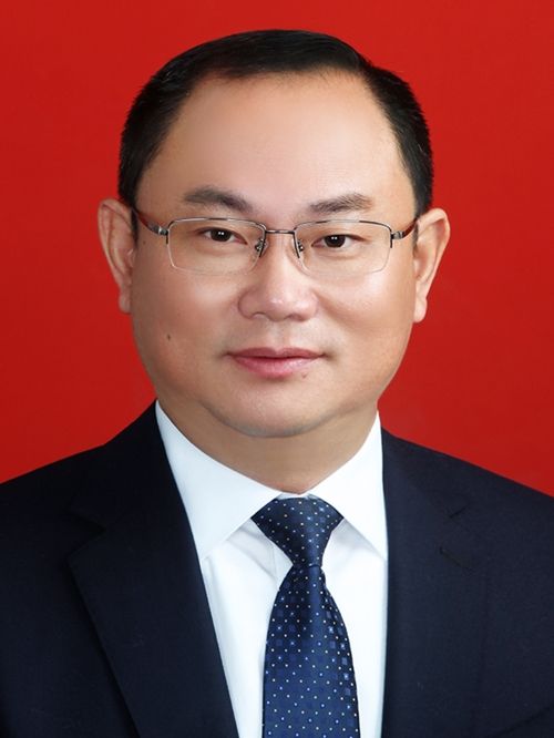 王小恆(湖北省黃岡市黃梅縣人民政府黨組成員、副縣長) 王小恆(湖北省黃岡市黃梅縣人民政府黨組成員、副縣長)