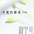 美麗的靈魂(書籍)